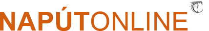 Napút Online logo